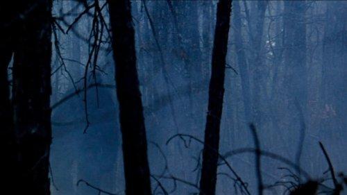 The Legend of Boggy Creek filmas žiurėti online