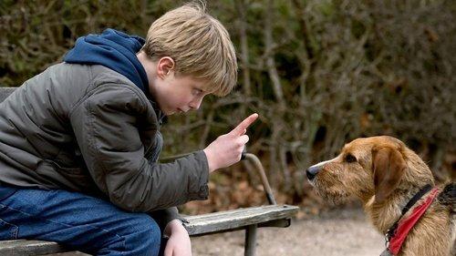 Storm filmas žiurėti online