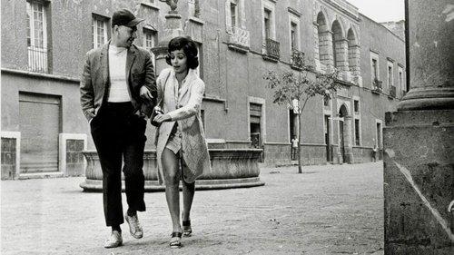 The Prophet Mimi filmas žiurėti online