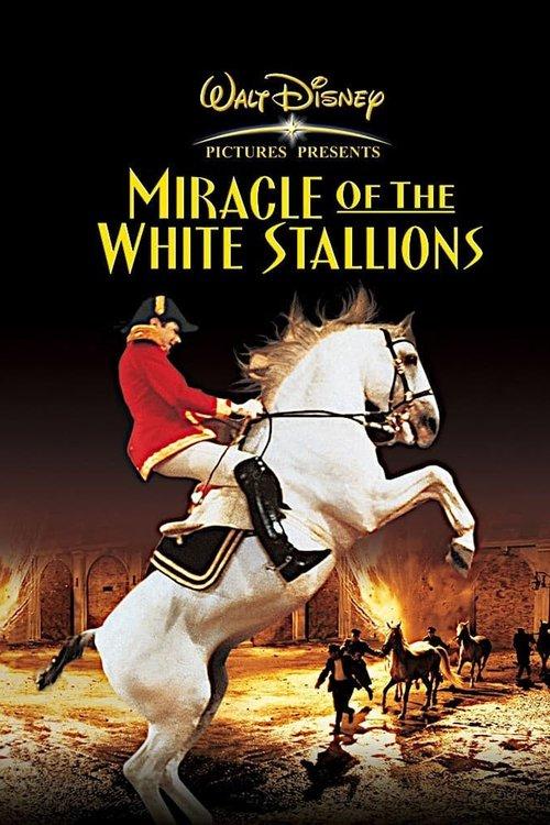 Miracle of the White Stallions filmas online