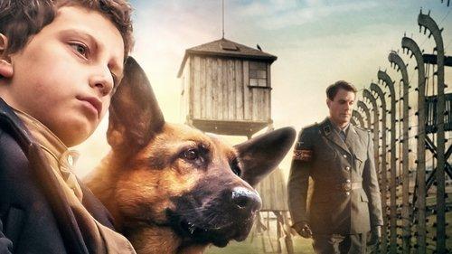 Shepherd: The Story of a Jewish Dog filmas žiurėti online