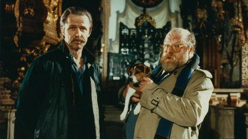 In the Name of the Law filmas žiurėti online