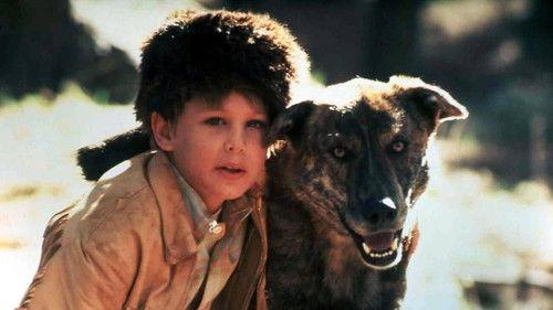 Rugged Gold filmas žiurėti online