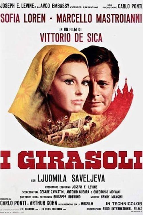 I girasoli filmas online