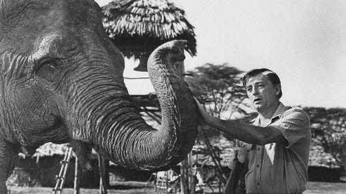 Mister Moses filmas žiurėti online