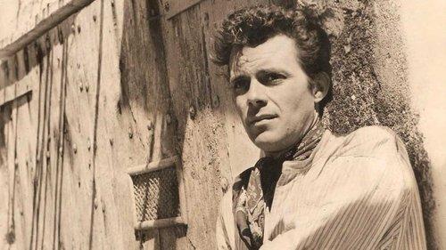 The Spanish Gardener filmas žiurėti online