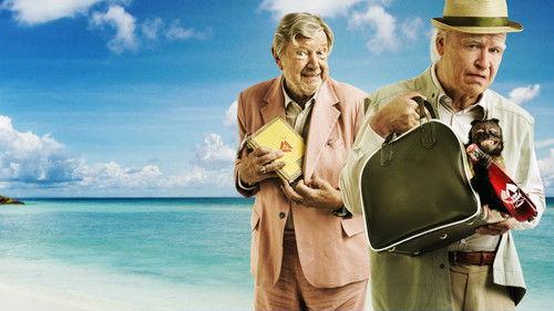 The 101-Year-Old Man Who Skipped Out on the Bill and Disappeared filmas žiurėti online