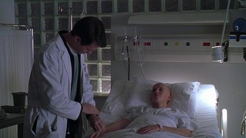 Wit filmas žiurėti online