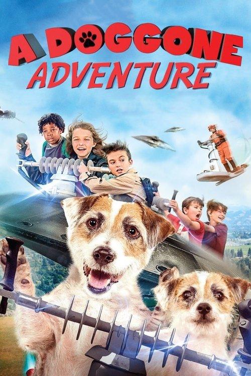 A Doggone Adventure filmas online