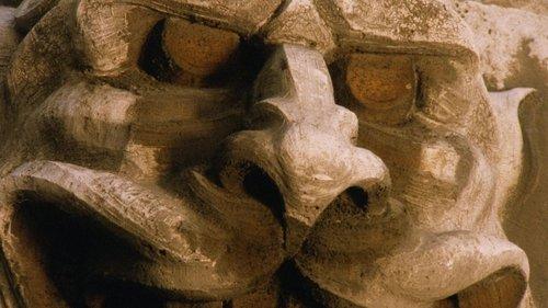 The Black Cat filmas žiurėti online