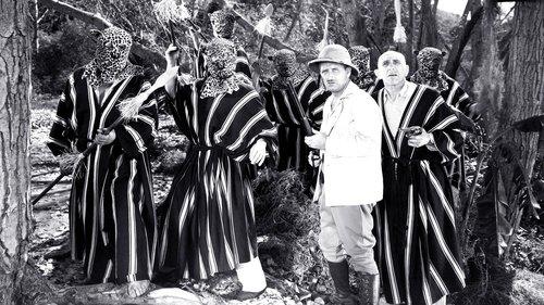 Terry and the Pirates filmas žiurėti online