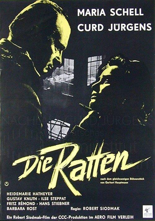 Die Ratten filmas online