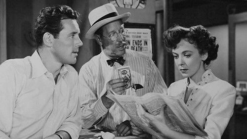 Woman in Hiding filmas žiurėti online