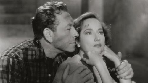 Pardon My French filmas žiurėti online