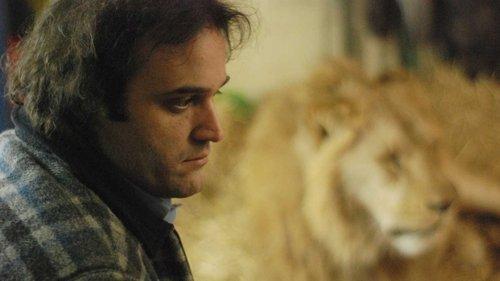 Extraordinary Stories filmas žiurėti online