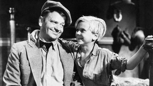 O'Shaughnessy's Boy filmas žiurėti online