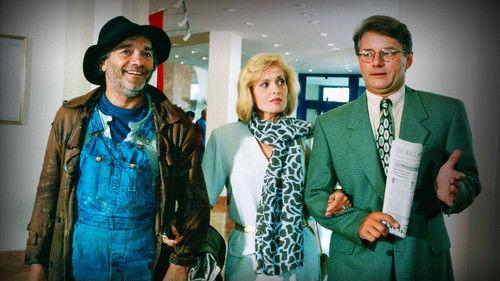 Comedy of Marriage filmas žiurėti online