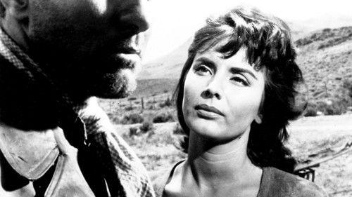 La burrerita de Ypacaraí filmas žiurėti online