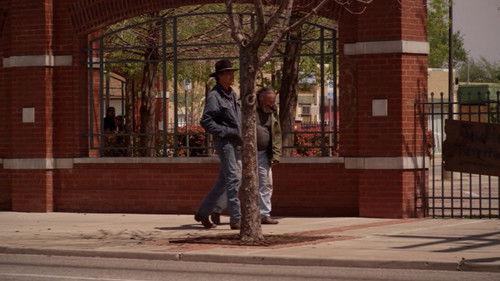 Mekko filmas žiurėti online