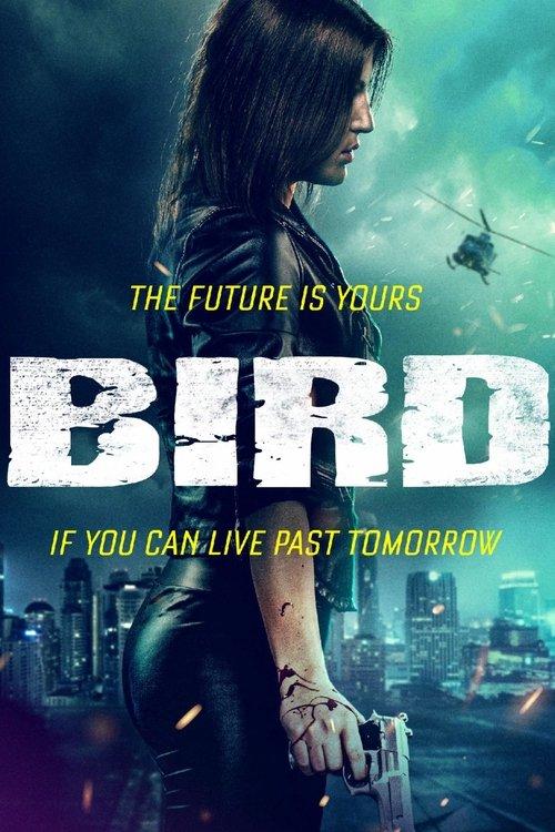 Bird filmas online