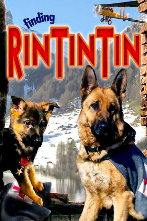 Finding Rin Tin Tin filmas online