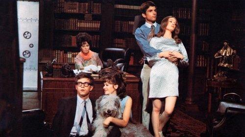 You're a Big Boy Now filmas žiurėti online