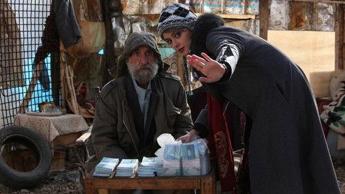 Modest Reception filmas žiurėti online