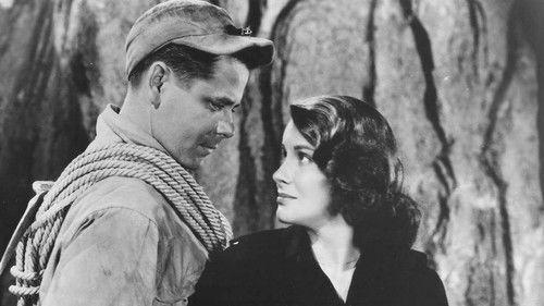 The White Tower filmas žiurėti online