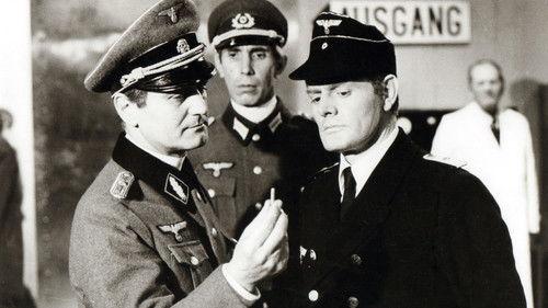 Probabilità zero filmas žiurėti online