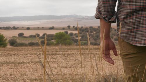 Eat More Trees filmas žiurėti online