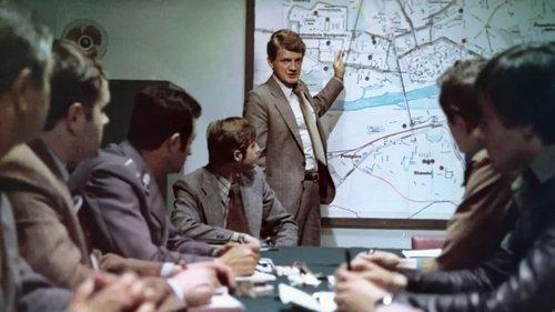 Wściekły filmas žiurėti online