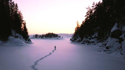 Essential Killing filmas žiurėti online