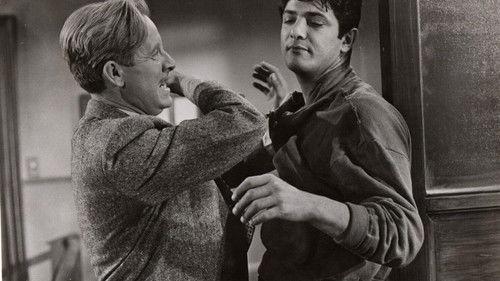 The Violators filmas žiurėti online