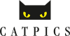 Catpics studio logo