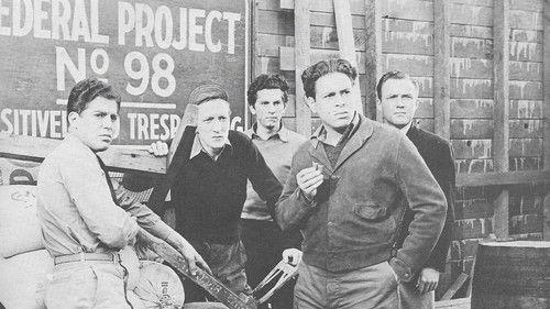 Junior G-Men of the Air filmas žiurėti online