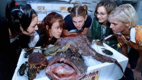 Freundinnen & andere Monster filmas žiurėti online