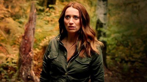 Disappearance in Yellowstone filmas žiurėti online