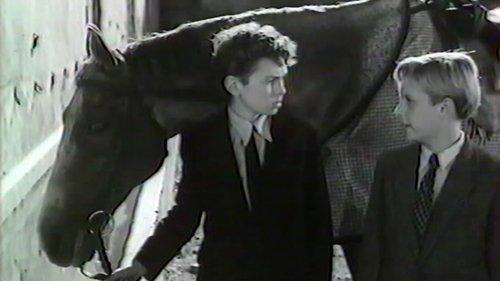 The First Weapons filmas žiurėti online