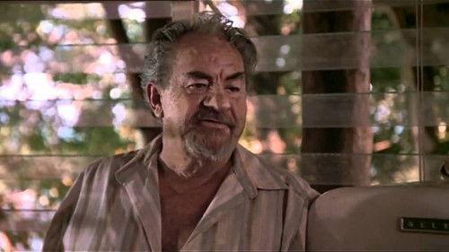 Travelling North filmas žiurėti online