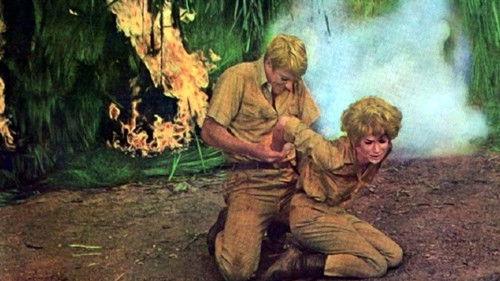 Valley of Mystery filmas žiurėti online