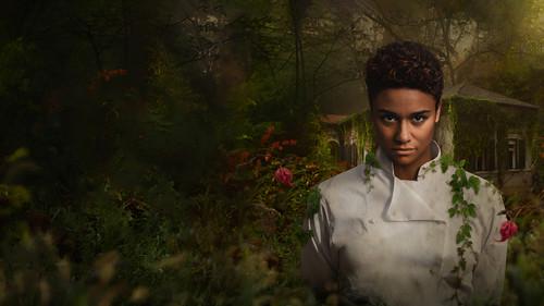 House of Spoils filmas žiurėti online