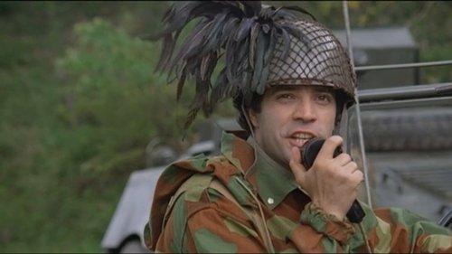 Io tigro, tu tigri, egli tigra filmas žiurėti online