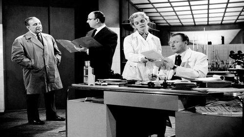 Alibi filmas žiurėti online