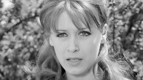 The Ladykiller filmas žiurėti online