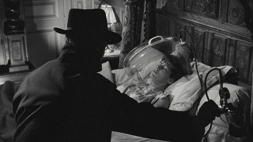 Spotlight on a Murderer filmas žiurėti online