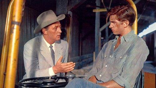 Home from the Hill filmas žiurėti online