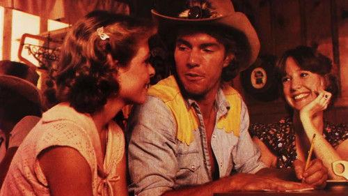 The Night the Lights Went Out in Georgia filmas žiurėti online