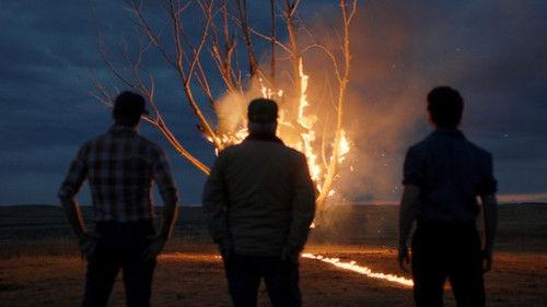 Hands That Bind filmas žiurėti online