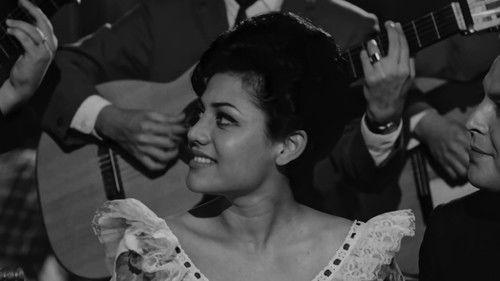 Un yucateco honoris causa filmas žiurėti online