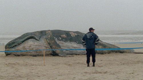 As Mil e Uma Noites: Volume 1, O Inquieto filmas žiurėti online